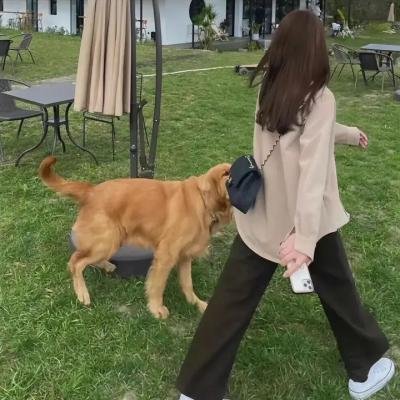 黄河巨蛇事件